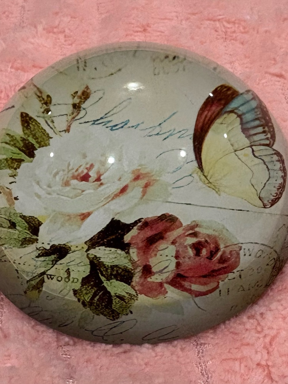 Vintage style glass dome paperweight